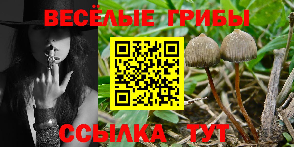 Псилоцибиновые грибы Psilocybine cubensis  Галлюциногенные грибы прущие грибы  Крымск  Вход с VPN 