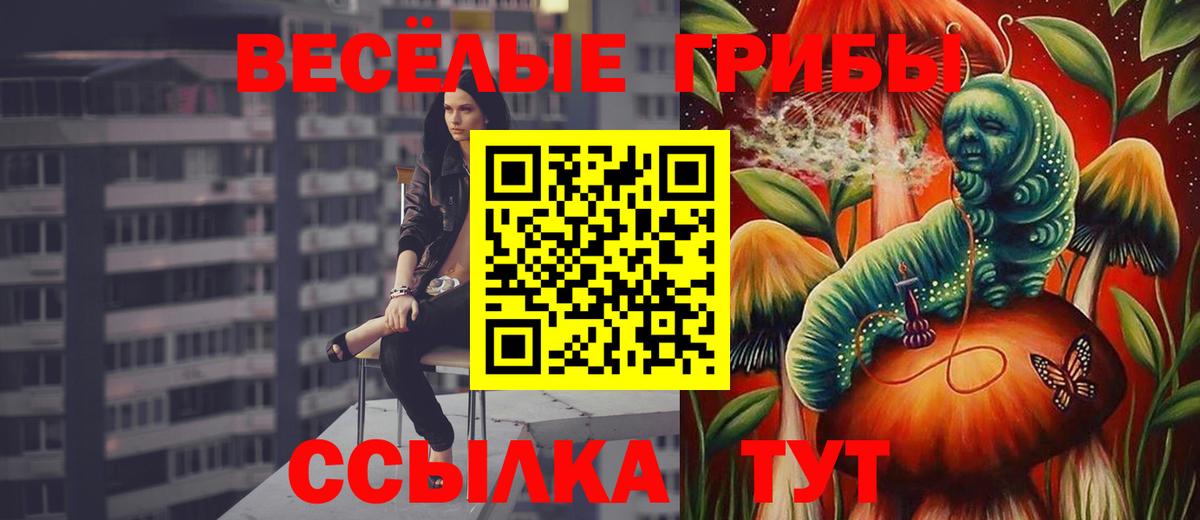 Галлюциногенные грибы прущие грибы Крымск